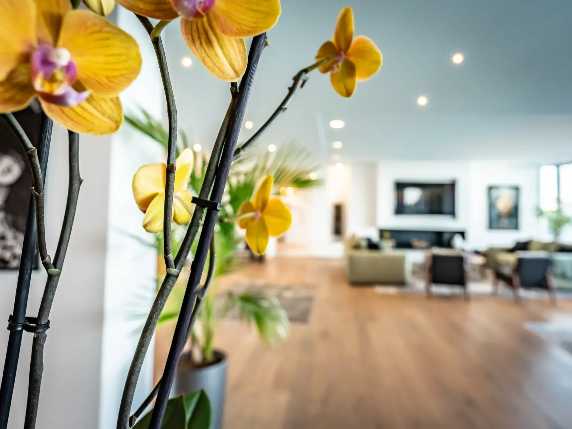 Vue d'ensemble du salon avec accès terrasse - Villa Azaitu